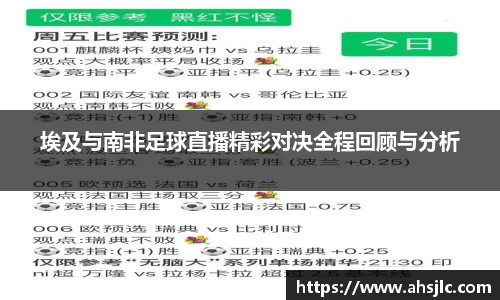 埃及与南非足球直播精彩对决全程回顾与分析